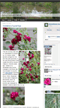 Mobile Screenshot of georgiabackyardnature.com