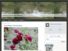 Tablet Screenshot of georgiabackyardnature.com